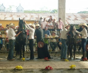 Bovine Equine Cultural Fair and Agro Tourism Source  castillalanueva meta gov co